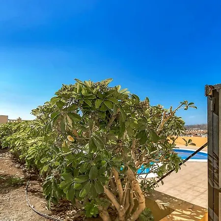 Lägenhet Apartamento Del Sol Costa Adeje (Tenerife)